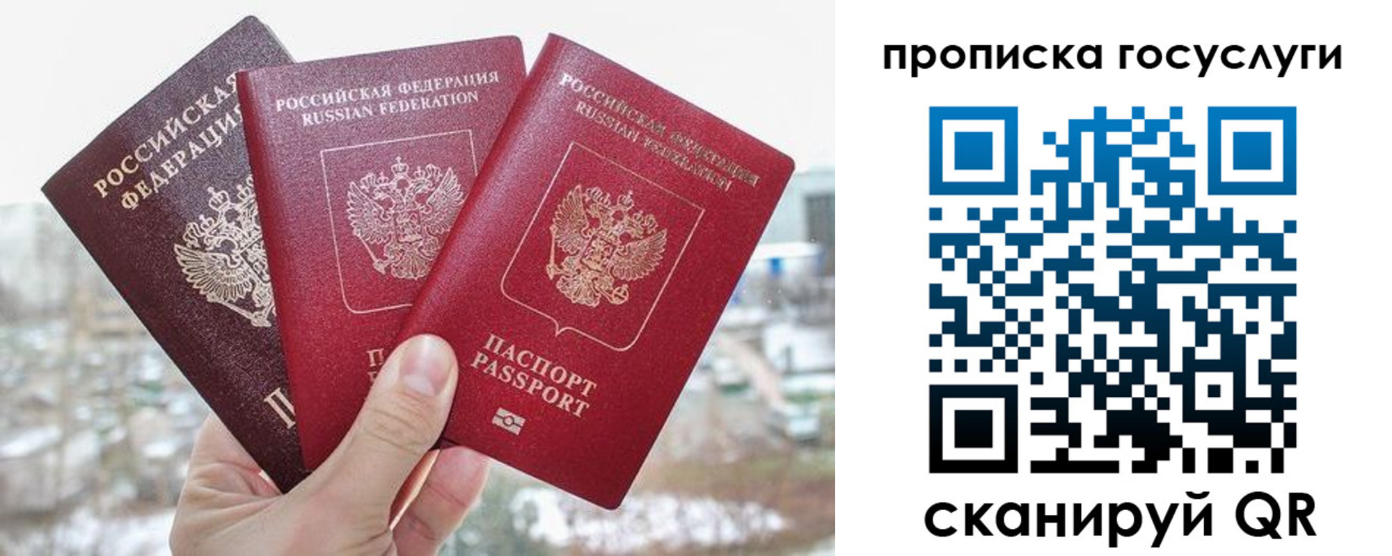 прописка законно в Смоленской области